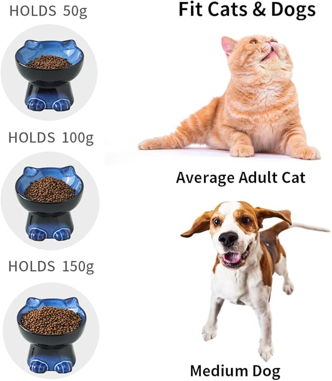 Nihow Elevated Cat/Dog Bowls Set : 6.2 Inch Ceramic Raised Cat Food &amp; Water Bowl Set for Protecting Pet&