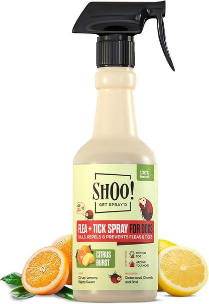Shoo! Flea &amp; Tick Spray for Dogs and Home | Plant Based, Natural Oils, Chemical Free Formula | Kills, Repels, Prevents | 16 oz (Citrus Burst)