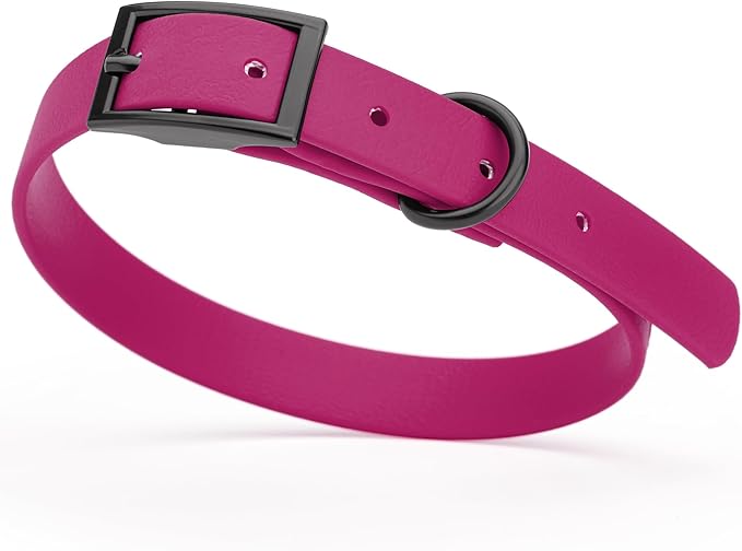 Dogline Biothane Waterproof Dog Collar Strong Coated Nylon Webbing with Black Hardware Odor- Proof for Easy Care Easy to Clean High Performance Fits Small Medium or Large Dogs, Magenta Pink