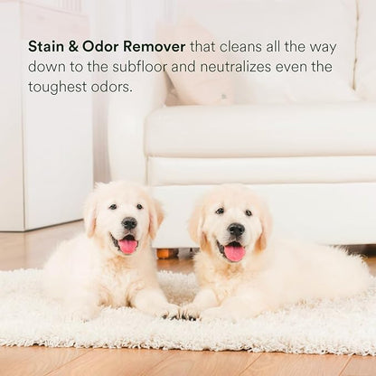pawTree Urine Eliminator™ - Stain &amp; Odor Remover for Cats and Dog. Enzymatic technology permanently removes old and new stains, neutralizes odors, and prevents repeat marking. Ideal for carpets.