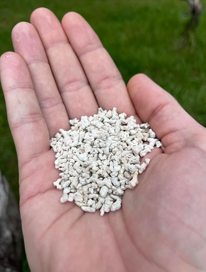 LitChicks’ Calcified Seaweed for Laying Chickens - Crushed Oyster Shell Alternative - Highly Digestible - Single Ingredient - Helps with Egg Laying &amp; Flock Health.