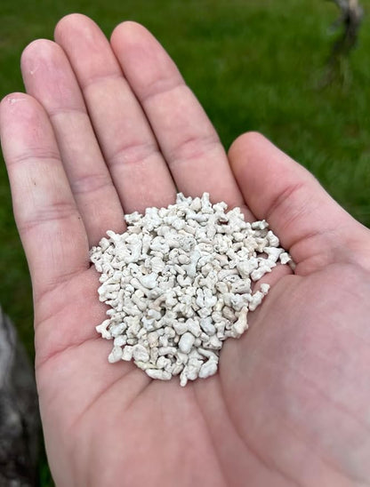 LitChicks’ Calcified Seaweed for Laying Chickens - Crushed Oyster Shell Alternative - Highly Digestible - Single Ingredient - Helps with Egg Laying &amp; Flock Health.
