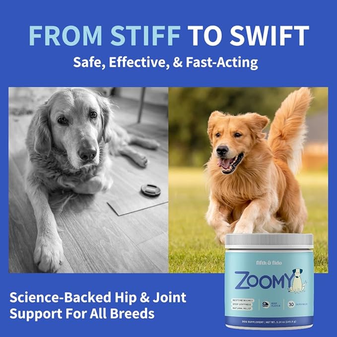 Dog Joint Supplement Powder with Glucosamine, Chondroitin &amp; MSM – Hip &amp; Joint Support for Mobility, Stiffness &amp; Flexibility – Mushroom Blend with Lion’s Mane, Cordyceps &amp; Reishi – Zoomy