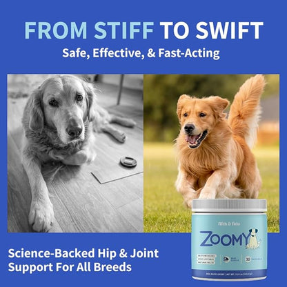 Dog Joint Supplement Powder with Glucosamine, Chondroitin &amp; MSM – Hip &amp; Joint Support for Mobility, Stiffness &amp; Flexibility – Mushroom Blend with Lion’s Mane, Cordyceps &amp; Reishi – Zoomy