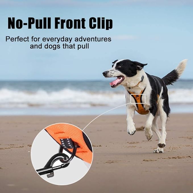 PoyPet No Pull Dog Harness, Reflective Comfortable Vest Harness with Front &amp; Back 2 Leash Attachments and Easy Control Handle Adjustable Soft Padded Pet Vest for Small to Large Dogs (Orange,L)