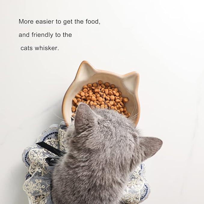 Nihow Ceramic Basic Cat Bowls: 5 Inch Cat Bowl for Food &amp; Water - Food Grade Cat Dish for Small-Sized Cat - Microwave &amp; Dishwasher Safe -Elegant Brown (4.25 OZ /1 PC)