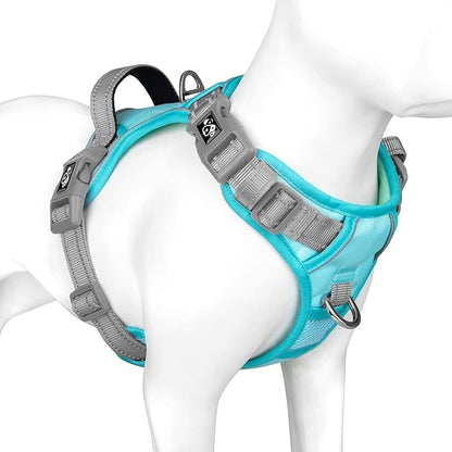 PHOEPET No Pull Dog Harness, Unique Colors Reflective Adjustable Dog Vest, with Soft Training Handle Metal Clips for Small Medium Large Dogs (Mint Green Base &amp; Grey Straps,S)