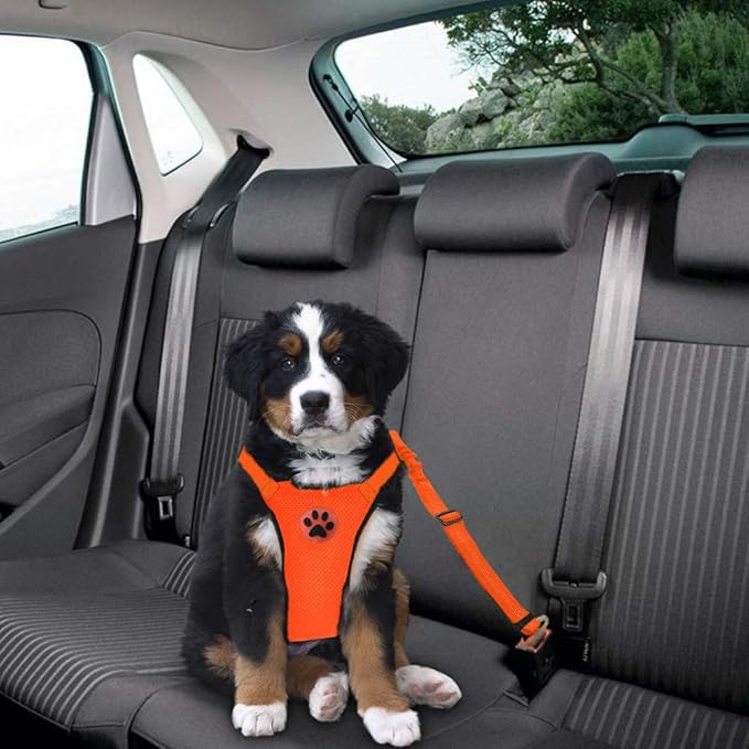 Lukovee Dog Seat Belt - Adjustable Dog Car Harness for Large, Medium &amp; Small Dogs, Soft Padded &amp; Breathable Mesh Dog Seatbelt with Vehicle Connector Strap (Orange, XX-Small)