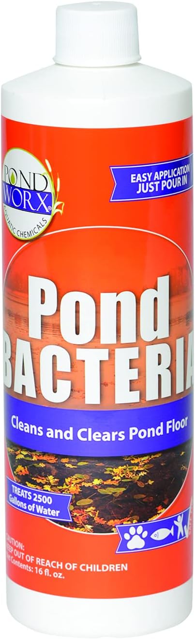 Pondworx Pond Bacteria - Concentrated &amp; Formulated for Water Features - Safe for Koi - 16 Ounces &amp; Treats up to 2,500 gallons of Water