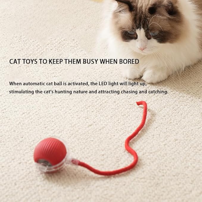 Interactive Cat Toy Ball for Indoor Cats - 3-Speed Smart Rolling Ball with Flashing Lights, USB Rechargeable Automatic Motion Kitten Toys for Bored Adult Cats &amp; Playful Kittens