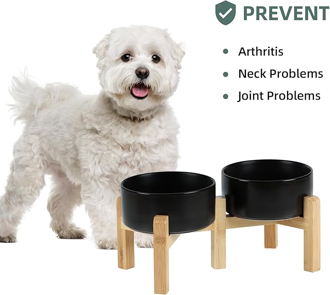 Ceramic Raised Double Bowls Set with Stand, 2 Heights Elevated, Food &amp; Water Bowls for Small Breed Dogs, Weighted Dog Dishes, Pet Bowl(6.1&