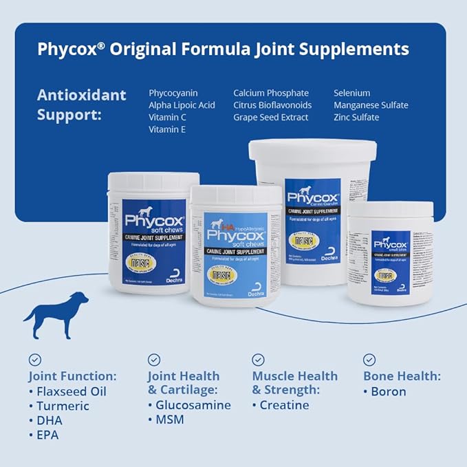 Canine Joint Support, 60 Soft Chews