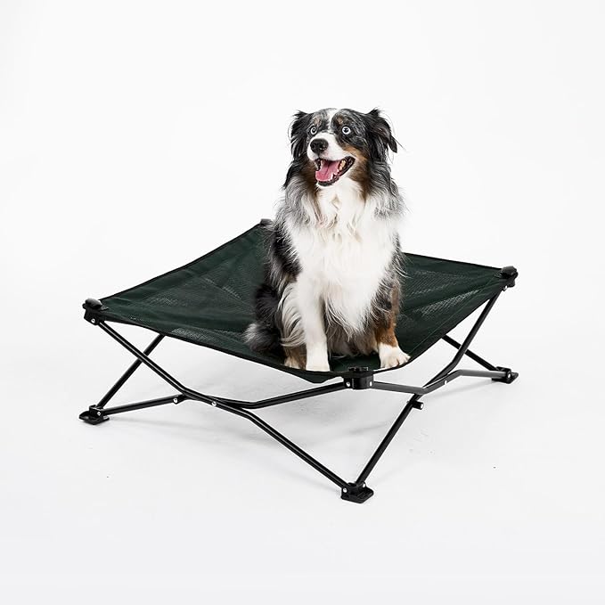 Coolaroo On-The-Go Elevated Dog Bed - Foldable Pop-Up Travel Dog Bed with Breathable, Moisture-Resistant Fabric, Carry Bag Included, Lightweight &amp; Portable, Brunswick Green, Medium