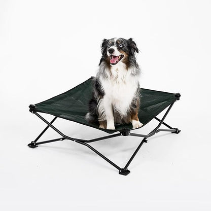 Coolaroo On-The-Go Elevated Dog Bed - Foldable Pop-Up Travel Dog Bed with Breathable, Moisture-Resistant Fabric, Carry Bag Included, Lightweight &amp; Portable, Brunswick Green, Medium