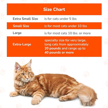 Cozy Comfort Carrier - Small Cobalt Blue Cat Carrier Soft for Grooming, Vet Visits, Medication Administration, Dental Care, Nail Trimming, and Car Travel
