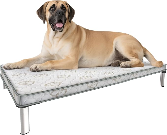 FXW TitanNest Chew-Proof Elevated Dog Bed, Raised Cot for Indoor/Outdoor/Camping Use, Durable &amp; Waterproof Cooling Pet Bed with Exclusive Cover for Extra Large Dogs, 56.0" L x 31.0" W x 7.3" H, Black