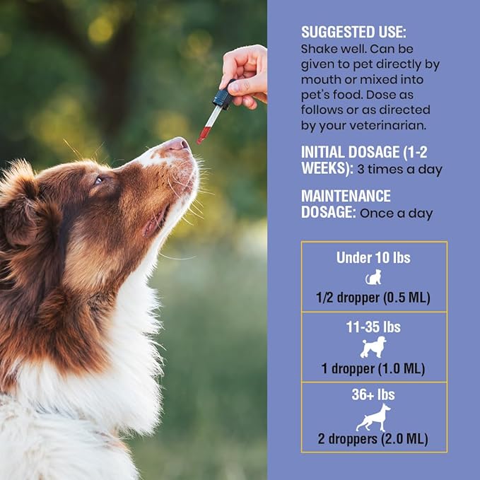 Cough Support for Dogs &amp; Cats, Dry and Wet, Respiratory &amp; Cold, Made in USA, 2oz