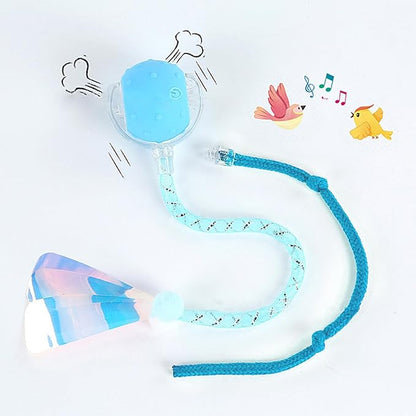 Interactive Cat Toys Ball for Indoor Cats, Automatic Agile Rolling Cat Ball with Elastic Mesh Tail, Bird Chirping &amp; Motion Activated, 2 Tail Accessories, Kitten Toy for Bored (Blue)