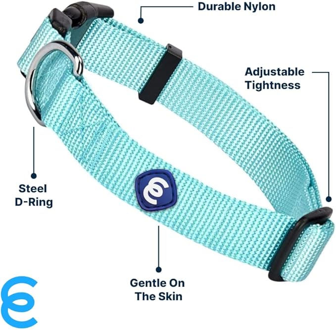 Blueberry Pet Essentials X-Small Dog Collar in Mint Blue | Adjustable &amp; Eco-Friendly Durable Nylon Strap | Classic Collar for X-Small Dogs, Boy &amp; Girl Pets