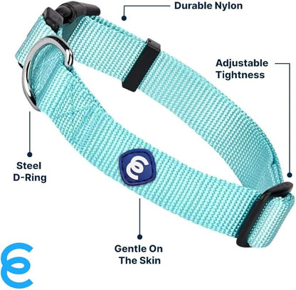 Blueberry Pet Essentials X-Small Dog Collar in Mint Blue | Adjustable &amp; Eco-Friendly Durable Nylon Strap | Classic Collar for X-Small Dogs, Boy &amp; Girl Pets