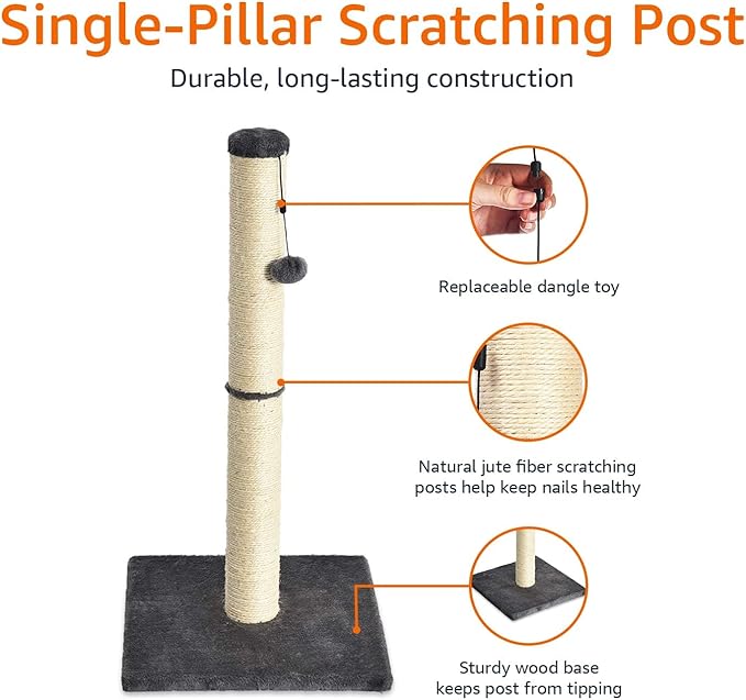 Amazon Basics Cat Scratcher - Indoor Classic Single Cat &amp; Kittens Scratching Post, Medium (31.5"H) - Grey