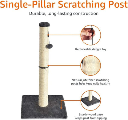 Amazon Basics Cat Scratcher - Indoor Classic Single Cat &amp; Kittens Scratching Post, Medium (31.5"H) - Grey