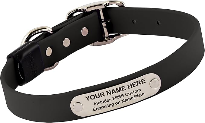 Biothane Custom Dog Collar – Waterproof, Stink-Proof Personalized Collar with Name &amp; Phone Number – Durable, Many Sizes and Colors – Assembled in USA (Black)