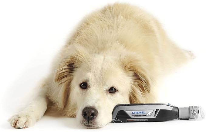 Dremel Pet Grooming Nail Guard Attachment, Ideal for Dog &amp; Cat Nail Trimming, AT02-PGK