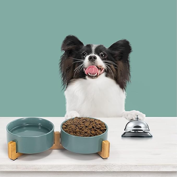 SPUNKYJUNKY Ceramic Dog and Cat Bowl Set with Wooden Stand, Modern Cute Weighted Food Water Set for Small Size Dogs (13.5OZ) &amp; Medium Sized Dogs (28.7OZ) &amp; Cats (1.7 Cups, 2 × Morandi Green)