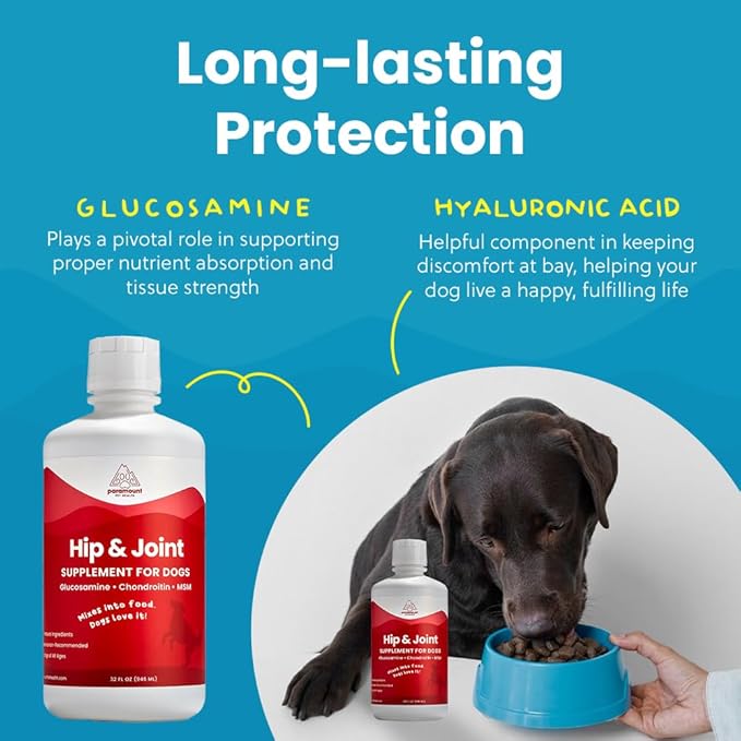 Liquid Glucosamine for Dogs, 1600mg Glucosamine Chondroitin MSM, Hip &amp; Joint Supplement for Large Dogs, Liquid Arthritis Relief &amp; Mobility Support, 32 oz