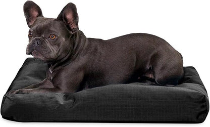 K9 Ballistics Tough Rectangle Pillow Medium Dog Bed - Removable Cover, Washable, Durable &amp; Water Resistant Dog Bed Made for Small Dogs 24"x18" Obsidian Black