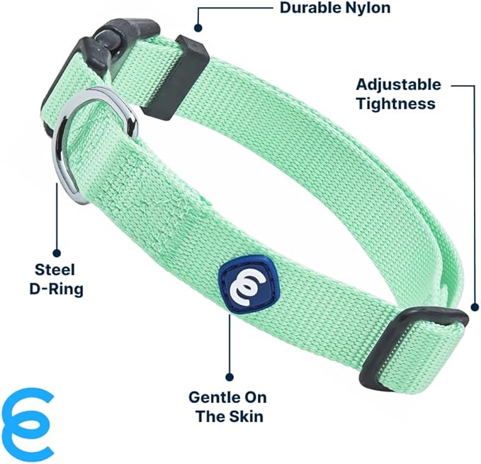 Blueberry Pet Essentials Small Dog Collar in Pastel Green | Adjustable &amp; Eco-Friendly Durable Nylon Strap | Classic Collar for Small Dogs, Boy &amp; Girl Pets
