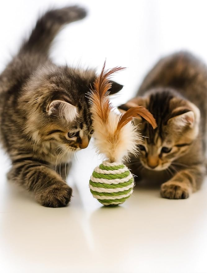 Ball for cat with Feathers - Balls for Cats– Natural Toy for Indoor Cats – Eco-Friendly, Durable, Interactive Play Balls for Kittens – Pet-Safe Chew &amp; Scratch Toys (Green)