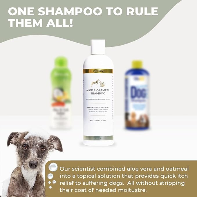 PetScy - Aloe &amp; Oatmeal Shampoo for Dogs and Cats, Moisturizing Pet Shampoo for Skin Relief, All-Natural, Soap-Free &amp; Gentle, Pina Colada Scent, 12 Oz