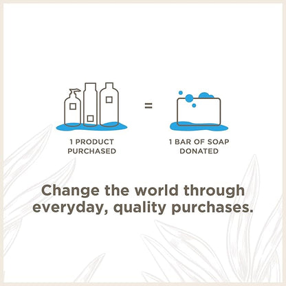 Soapbox Argan Oil Shampoo, Harsh Sulfate Free, Paraben &amp; Silicone Free, Color Safe, and Vegan Hair Shampoo | Control &amp; Soften Shampoo (33.8 Ounces)