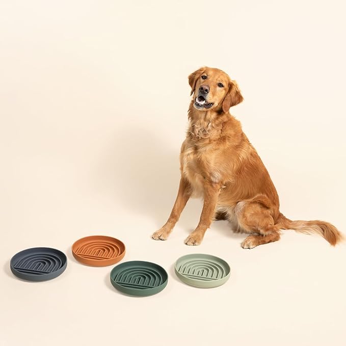 The Slowdown Bowl Silicone Slow Feeder for Dogs &amp; Puppies, Slow Eating, Modern Lick Mat Design, Reduces Gulping, Fits 2.5 Cups 9.5” Across x 1.5” Tall, Mealtime Challenge, Large-Blush