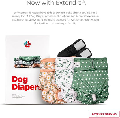Pet Parents® Washable Dog Diapers (3pack) + Extendrs® of Durable Doggie Diapers, Premium Dog Diapers Female (Medium, Daisy)