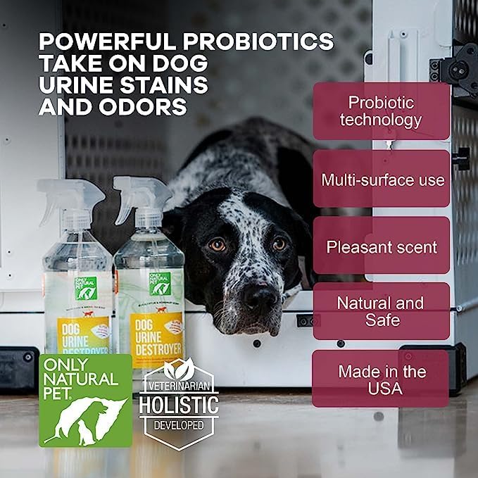 Only Natural Pet Enzyme Powered Stain &amp; Odor Eliminator - Professional Pet Urine Pee Cleaner Deodorizer for Dogs - Hardwood Floors Carpets Upholstery - Eucalyptus &amp; Rosemary Scent - 32Floz - 2 Pack