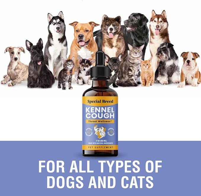 Cough Support for Dogs &amp; Cats, Dry and Wet, Respiratory &amp; Cold, Made in USA, 2oz