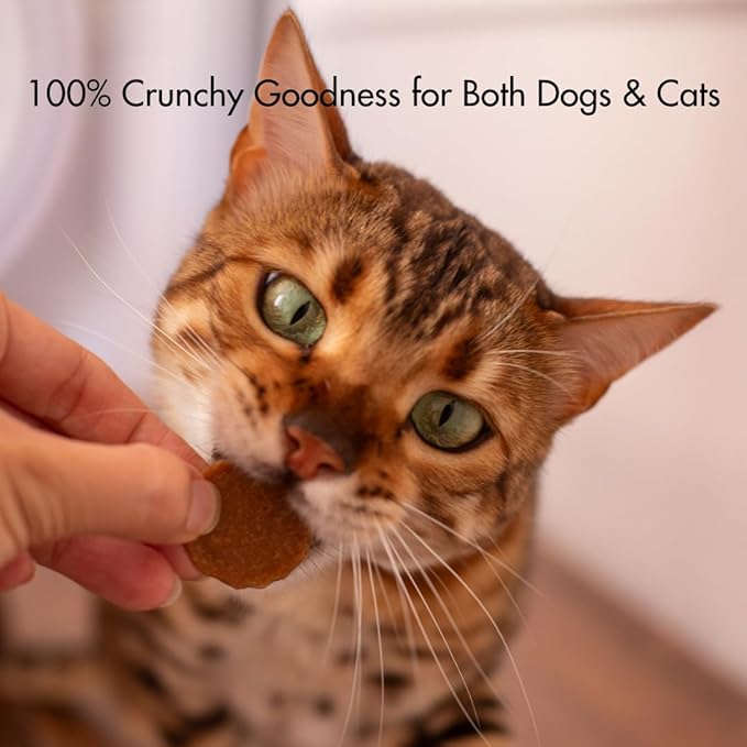 Silver Carp Chips Dog &amp; Cat Treats | Single Ingredient | Wild Caught | Made w/Invasive Fish | Grain Free | High Protein + Low Fat | Hypoallergenic | Compostable Packaging | Made in The USA