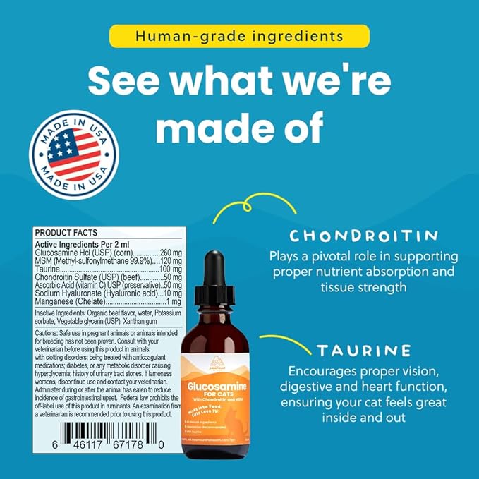 100% Natural Liquid Glucosamine Chondroitin with MSM for Cats, Hip &amp; Joint Supplement for Senior Felines, Arthritis Support &amp; Mobility Booster Glucosamine Drops, 2 Oz