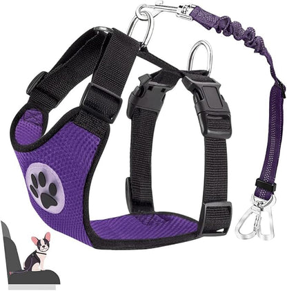 Lukovee Dog Seat Belt for Car, Adjustable Dog Car Harness for Large Medium Small Dogs, Soft Padded &amp; Breathable Mesh Dog Seatbelt with Car Strap and Carabiner(Purple Double Clip,XXX-Small)