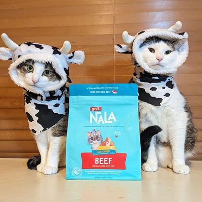 LOVE, NALA - Beef Air Dried Cat Food - Award Winning - Made in USA - Complete &amp; Balanced Cat Food for All Life Stages- 1 Bag - 1 lb.