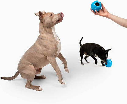 Jolly Pets Jolly Dipper Treat Dispensing Dog Toy; 3&