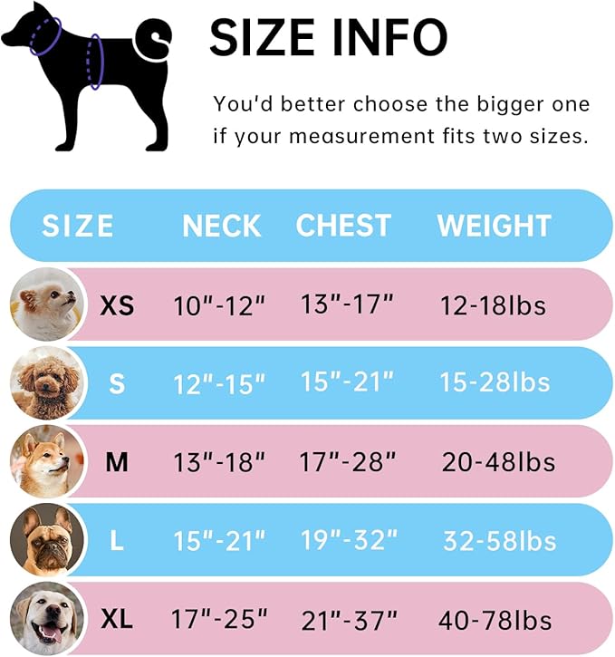 IVY&amp;LANE No Pull Dog Harness for Small Dogs, Dog Vest Harness with Leash, Safety Belt and Storage Strap, Fully Adjustable Harness, 360° Reflective Strip, Soft Handle (Blue, S)
