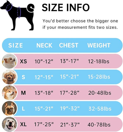 IVY&amp;LANE No Pull Dog Harness for Large Dogs, Dog Vest Harness with Leash, Safety Belt and Storage Strap, Fully Adjustable Harness, 360° Reflective Strip, Soft Handle (Blue,XL)