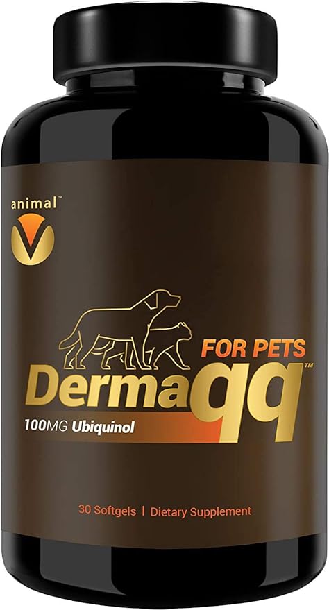 Dermaqq Dog &amp; Cat Hot Spots, Hair Loss, Dermatitis Support