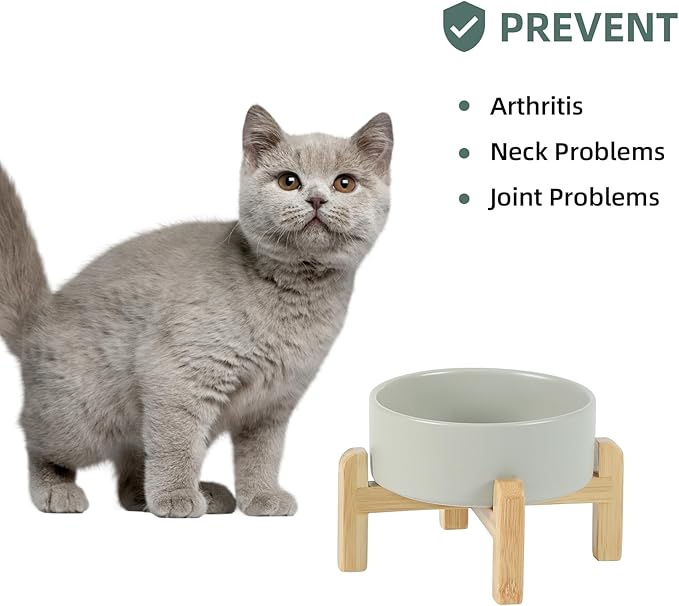 Ceramic Raised Dog and Cat Bowl Set, 2 Heights Elevated Stand, Food and Water Bowl for Small Breed Dogs, Cats, Kitty, Weighted Dog Dishes, Pet Bowls(5.1&