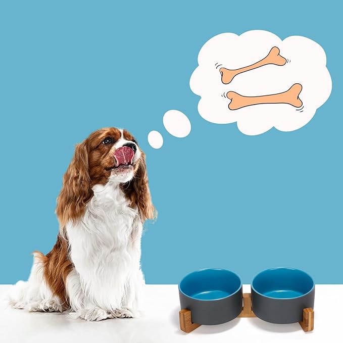 SPUNKYJUNKY Ceramic Dog and Cat Bowl Set with Wooden Stand, Modern Cute Weighted Food Water Set for Small Size Dogs (13.5OZ) &amp; Medium Sized Dogs (28.7OZ) &amp; Cats (3.6 Cups, 2 × Blue-Grey)