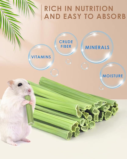 Bissap 25 PCS Guinea Pigs Chew Sticks, Natural Papaya Stems Bunny Chews Treats for Hamsters Chinchillas Small Animals Organic Molar Chewing Snack